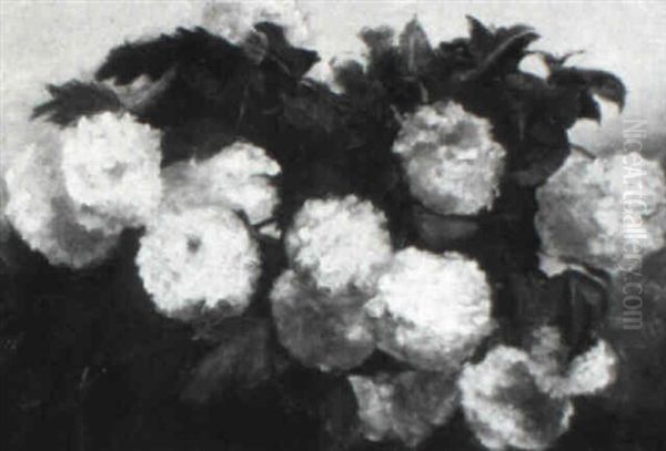Hydrangeas - view 1