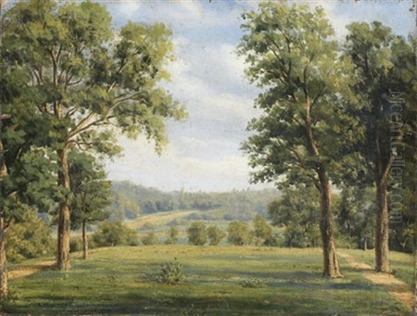 Vue Du Parc De Saint-cloud - view 1