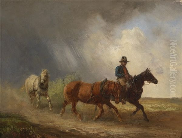 Reiter Und Zwei Pferde In Landschaft - view 1