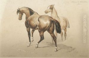 Chevaux Du Haut-poitou