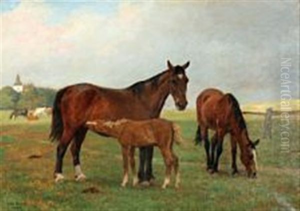 Horses On A Field - view 1