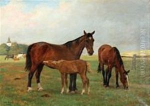Horses On A Field
