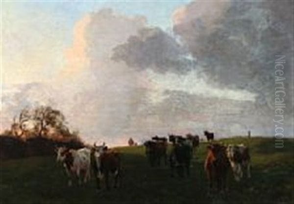 Cows On The Field, While A Storm Is Coming - view 1