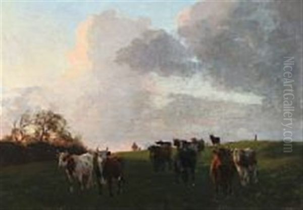 Koer Pa Marken - view 1