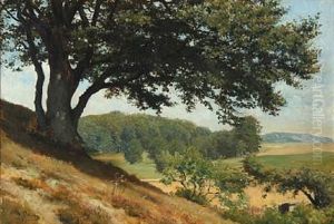 Hilly Danish Summer Landscape by Otto Bache