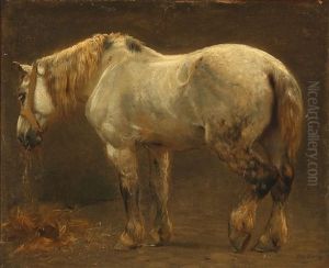 A Horse A Horse