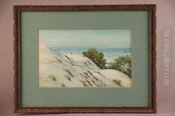California Sand Dunes - view 1