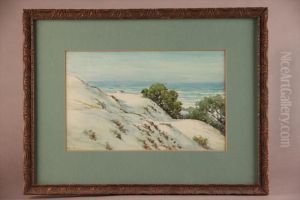 California Sand Dunes by William Adam