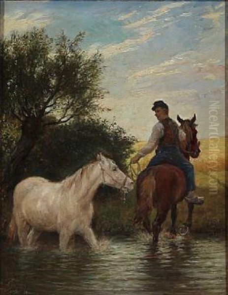 Horse Drawn Through A Stream - view 1