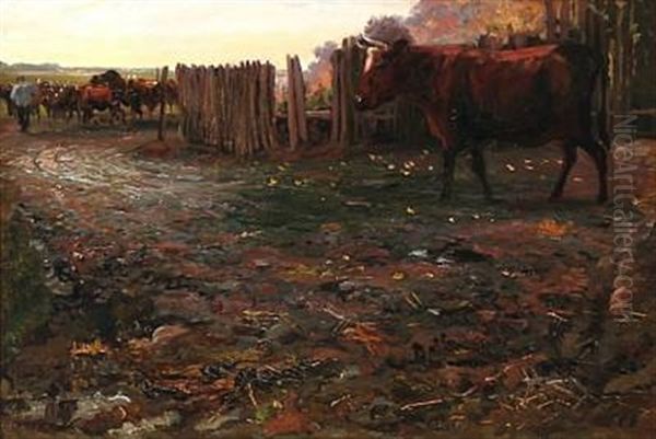 Cattle On Their Way To A Grazing Field - view 1