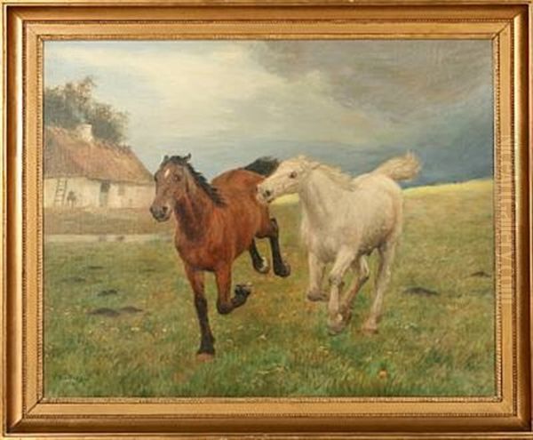 Two Horses In Gallop In Fredensborg, Denmark - view 1