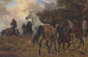 Det Vilde Stod I Frederiksborg  Gamel Stutteri