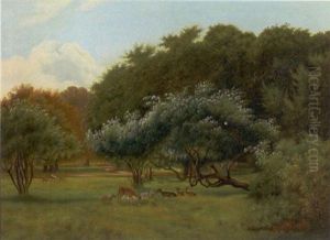 Parti Fra Dyrehaven Med Hjorte, Der Hviler Sig Under Traeer by Otto Bache