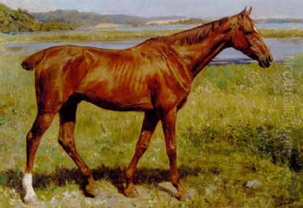 Eriksholms Stolthed - view 1