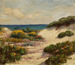 Sand Dunes - Sand Flowers by William Adam