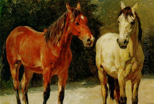 Stable Mates - view 1