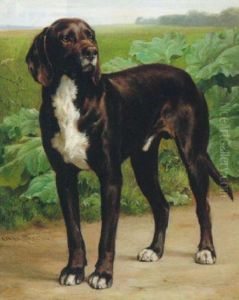 A Danish Pointer A Danish Pointer