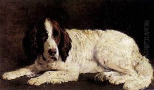 Liggende Spaniel by Otto Bache