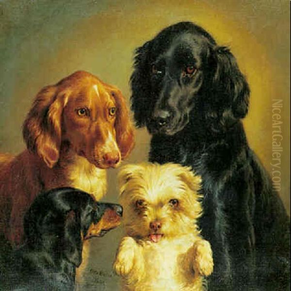 Fire Hunde - view 1