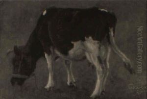 Study Of A Cow Grazing