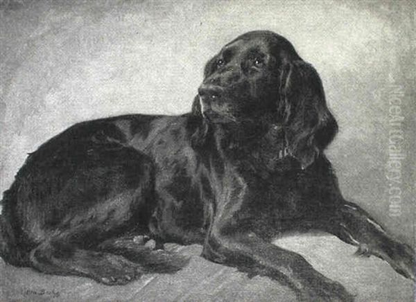 Liggende Sort Hund - view 1
