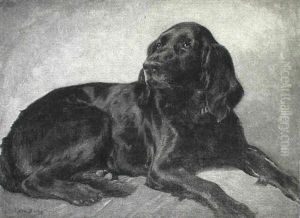 Liggende Sort Hund