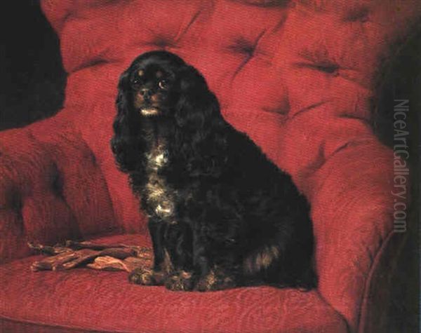 King Charles Spaniel I En Rod Klunkestol - view 1