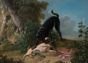 Two Pugs At Play