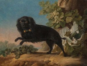 Mimi, Le Chien Favorite De Madame De Pompadour, 1762 by Jean-Jacques Bachelier