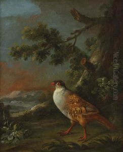 Un Perdreau Dans Un Paysage