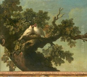 Deux Chardonnerets Blancs (+ Deux Couples De Passerins D'amerique Et Un Amandina Dans Son Nid; Pair) by Jean-Jacques Bachelier