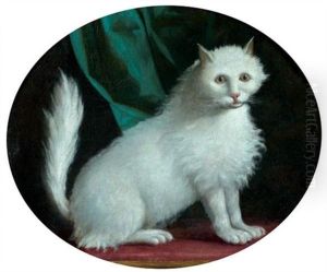 Portrait D'un Chat Blanc Sur Un Coussin Rouge