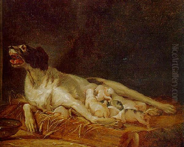 A Bitch Nursing Her Puppies In A Kennel - view 1