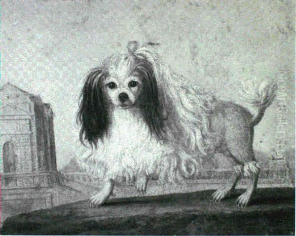 The Marquise De Sevignes Spaniel - view 1