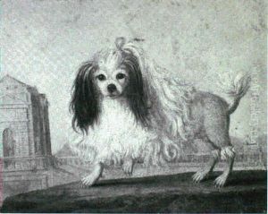 The Marquise De Sevignes Spaniel by Jean-Jacques Bachelier