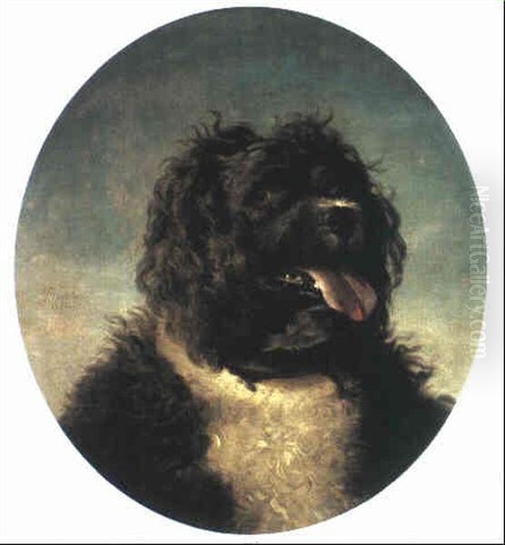 Tete De Chien - view 1