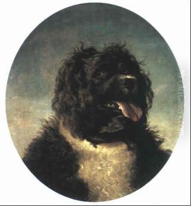 Tete De Chien