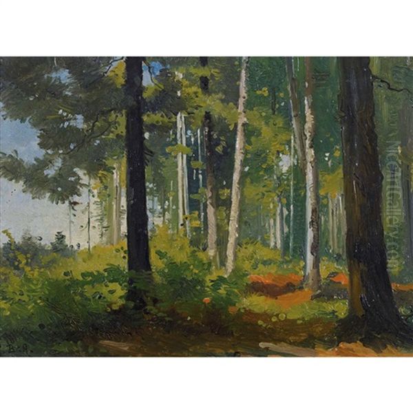 Foret De Sapin - view 1