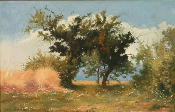 Summer Day In A Field - view 1