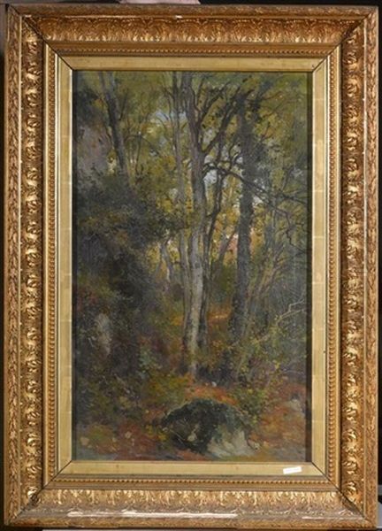 Waldlandschaft - view 1