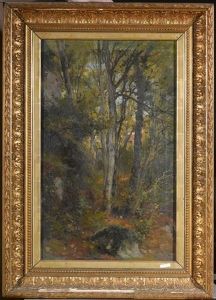 Waldlandschaft