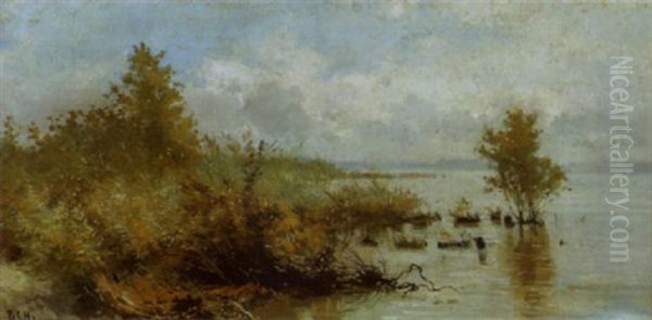 Ufer Des Neuenburger Sees Bei Marin - view 1