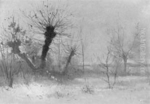 Winterliche Uferpartie Mit Weiden Unter Grauem Himmel