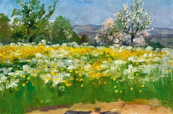 Sommerwiese - view 1