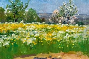 Sommerwiese
