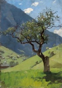 Sommerlandschaft