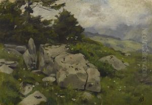 Gebirgslandschaft Mit Baumen Und Steinen