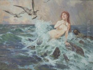 Nereide Futtert Die Mowen