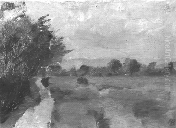 Wiesenlandschaft Mit Feldweg Unter Bedecktem Himmel - view 1