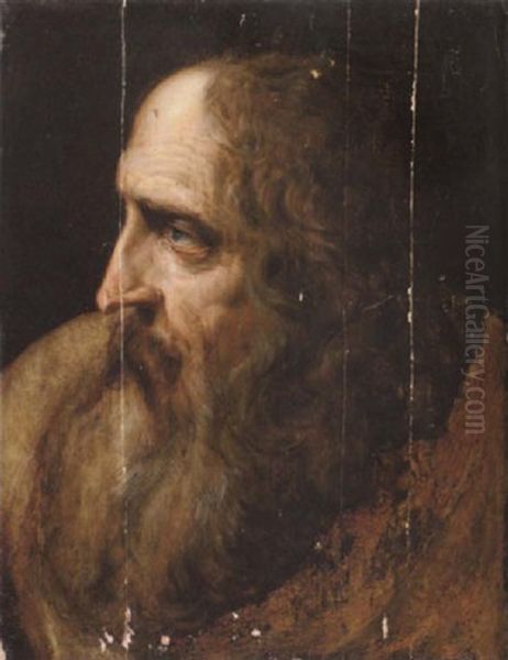 The Head Of A Bearded Man - view 1